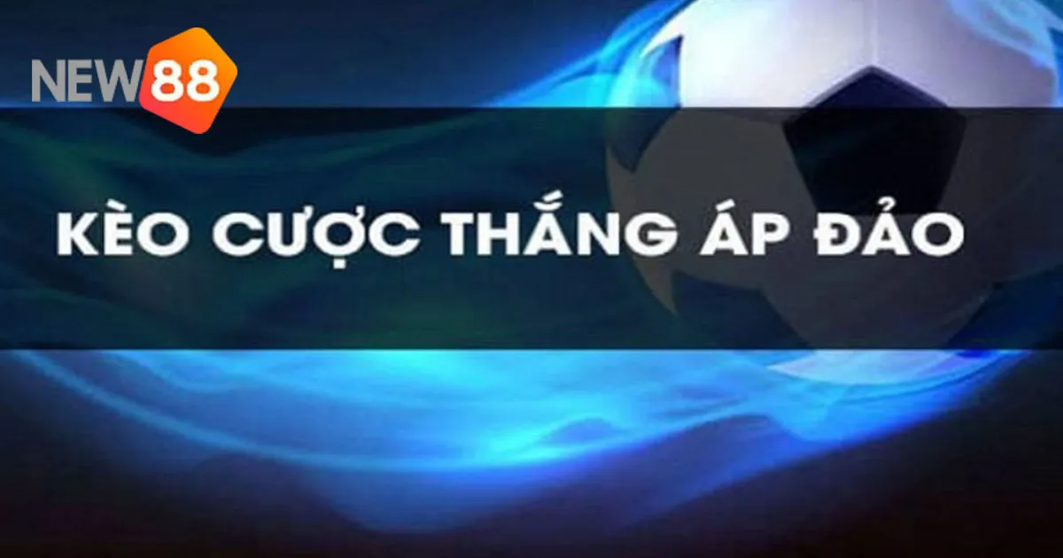 Mẹo Chơi Cược Thắng Áp Đảo Cực Hay Dành Cho Người Chơi Mới 1 Mẹo Chơi Cược Thắng Áp Đảo Cực Hay Dành Cho Người Chơi Mới