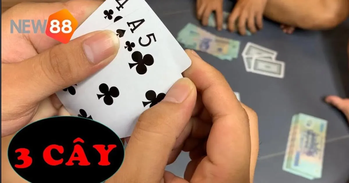 Cách Chơi Game Bài 3 Cây Đơn Giản Luôn Thắng Cho Anh Em 3 Hướng dẫn cách chơi chi tiết game bài 3 cây tại nhà cái New88