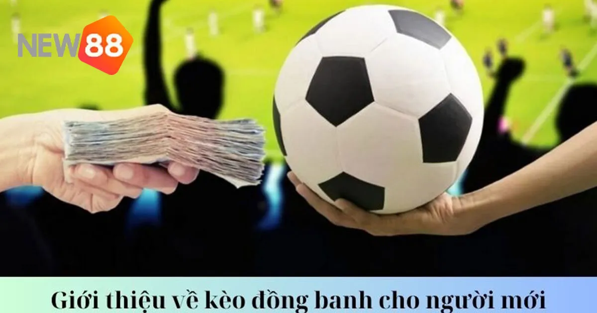 Kèo Đồng Banh - Hướng Dẫn Đọc Tỷ Lệ Và Dự Đoán Kết Quả 4 Mẹo chơi kèo đồng banh dành cho cược thủ