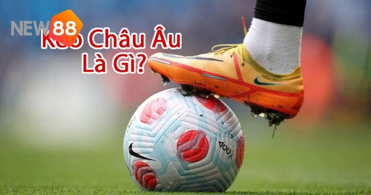 Khám Phá Kèo Châu Âu Tại New88 - Từ Cơ Bản Đến Nâng Cao 6 Khám Phá Kèo Châu Âu Tại New88 - Từ Cơ Bản Đến Nâng Cao
