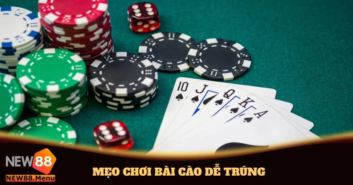 Mẹo Chơi Bài Cào Dễ Trúng & Chiến Thuật Đặt Cược Tại New88 10 meo choi bai cao de trung 4
