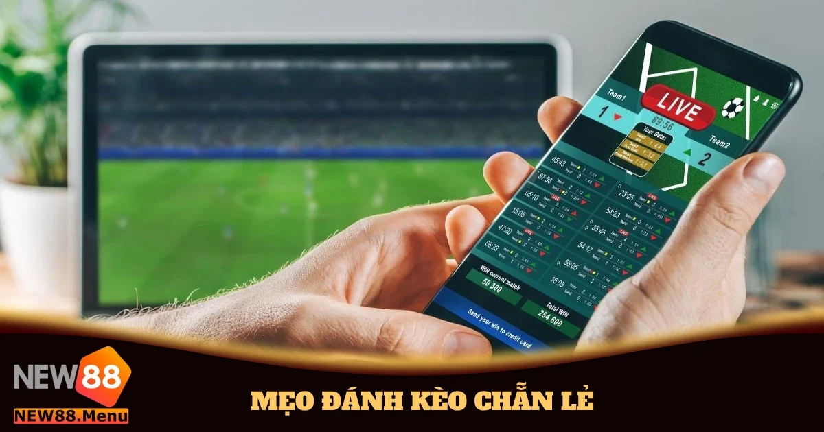 Mẹo Đánh Kèo Chẵn Lẻ Trong Các Trận Đấu Thể Thao New88 8 meo danh keo chan le 4